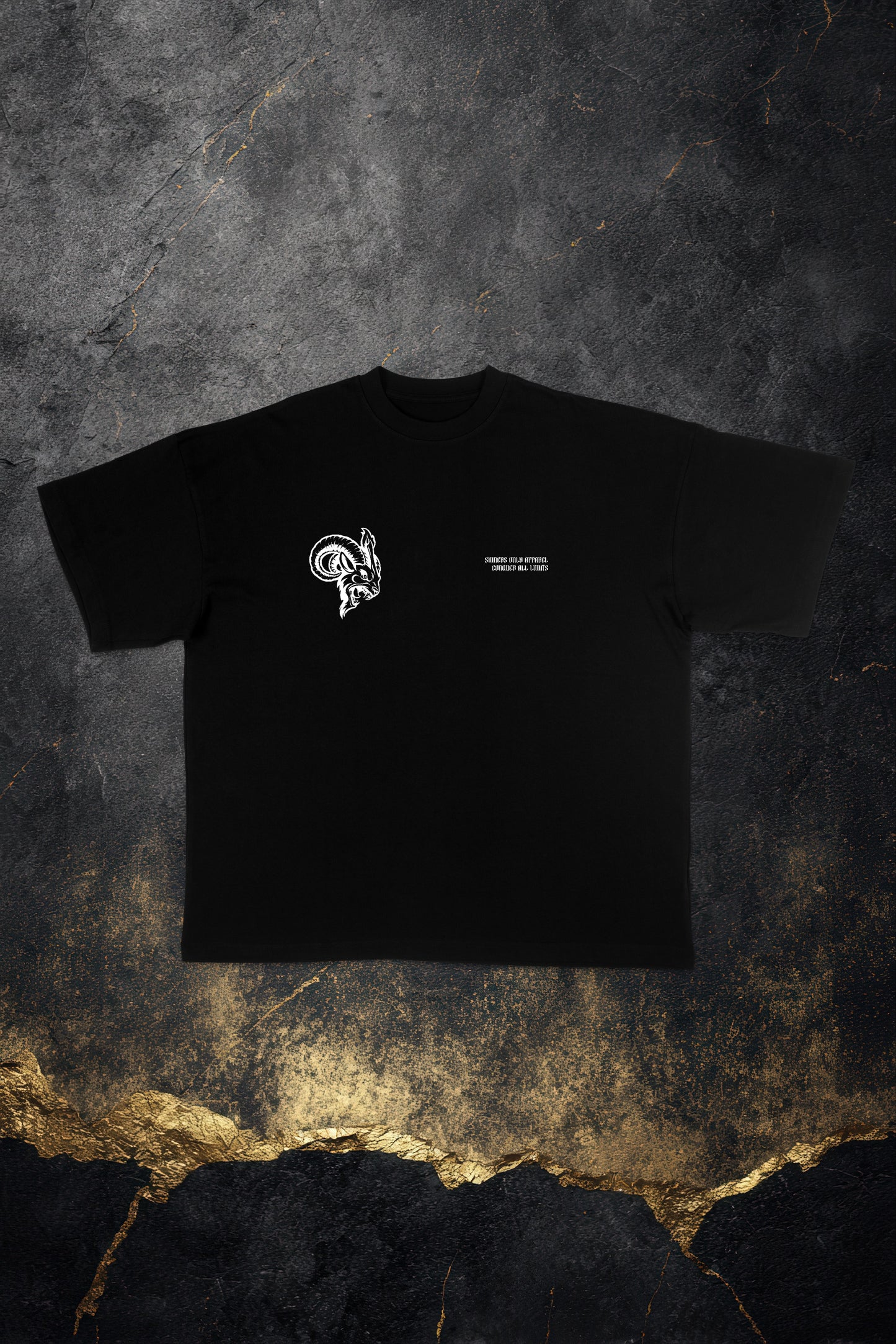 NOTHING IS GIVEN OVERSIZED TEE